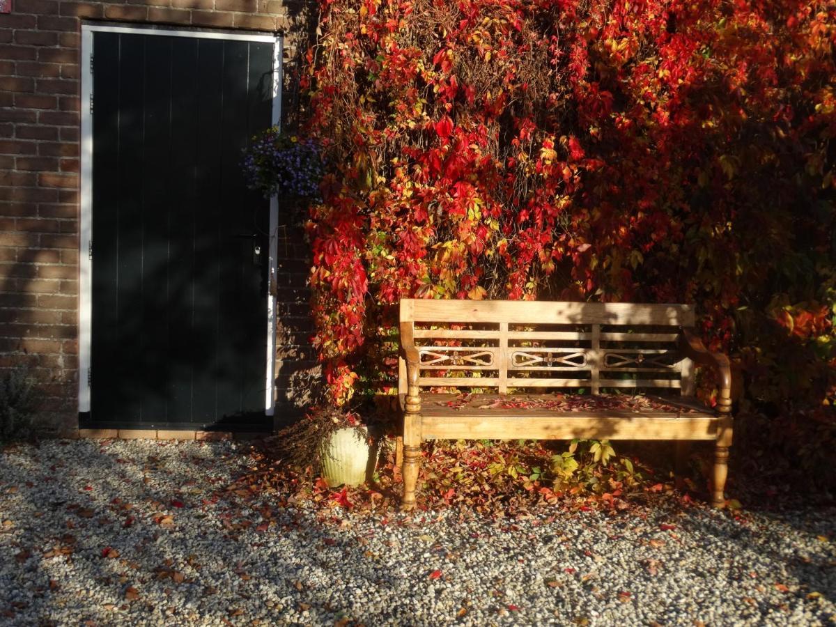 B&B Droom In De Polder -De Salon- Luxe Appartement Met Prive-Sauna Arnemuiden Exteriör bild